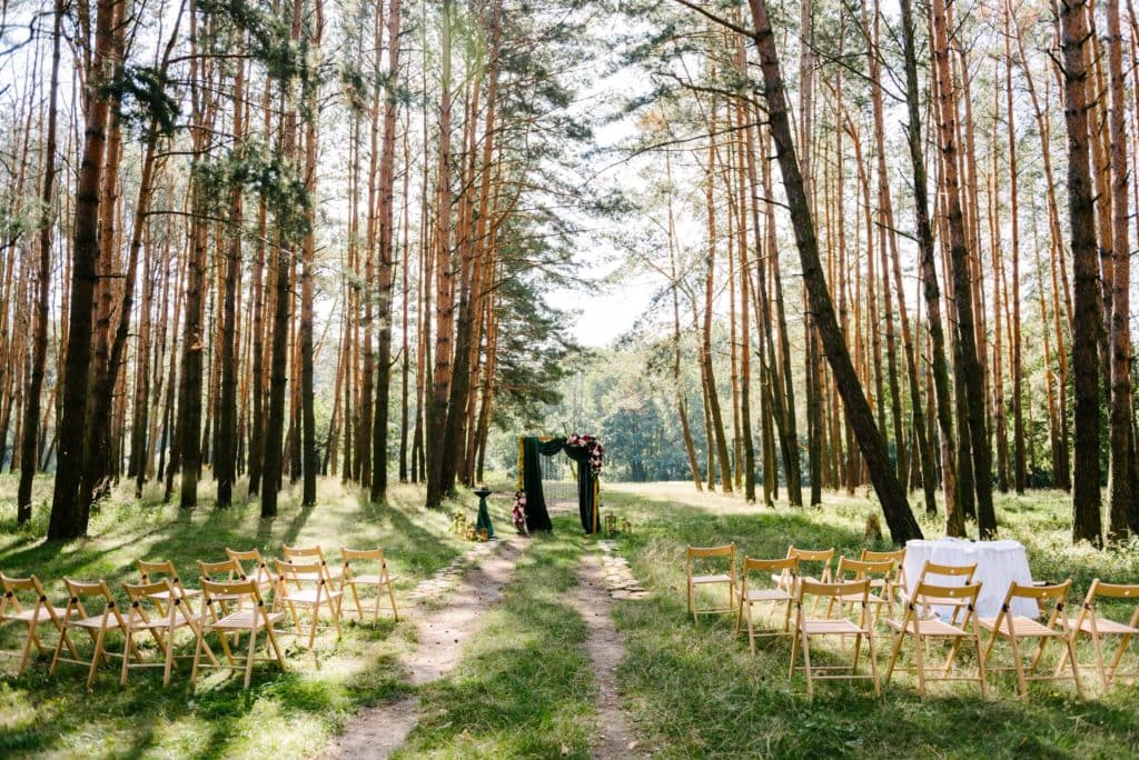 Outdoor wedding image