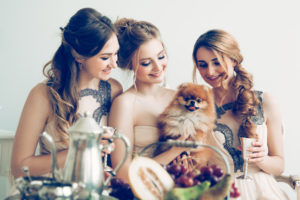 Bridesmaids and little fluffy dog