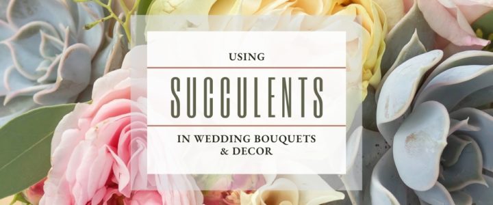 Add Succulents to Your Wedding Decor for Originality and Freshness Elegant-SucculentWeddingFlorals-blog