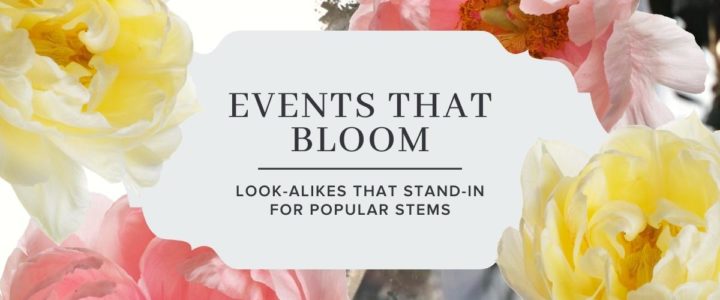 Elegant-EventsThatBloom-blog
