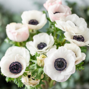 pink and white anemones in glass vase. Bunch pastel color. the concept of a florist in a flower shop. Wallpaper.
