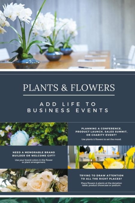 Elegant-MakeAPlanForPlants-SummaryAsset