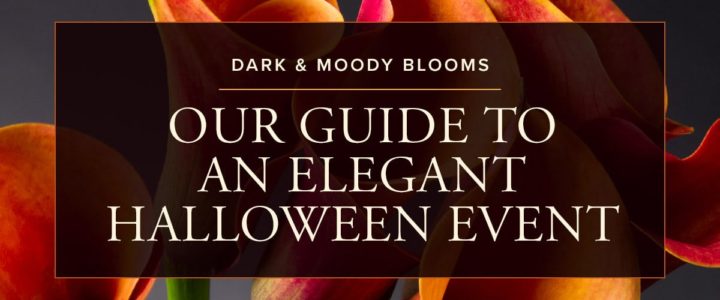 FM4-Elegant---Halloween-Weddings-&-Events---Blog