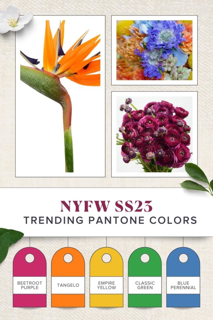 Vibrant Hues Are the Colors for 2023 Spring & Summer Weddings Rose