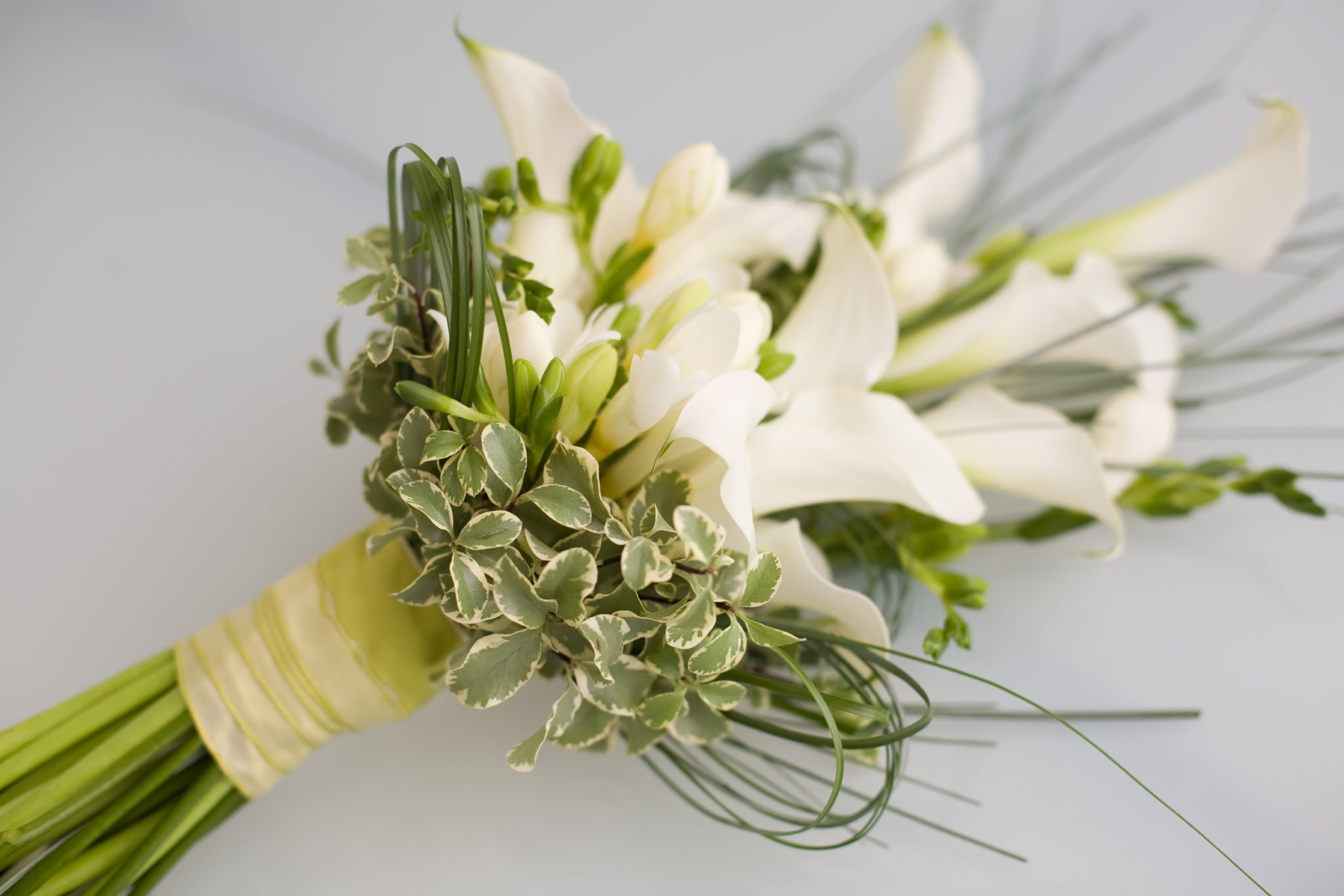 7 Good Luck Flowers to Include in Your Bridal Bouquet Rose Hill Flowers Weddings & Special