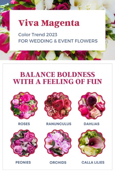 Viva magenta color trends for 2023