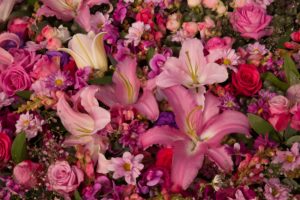 Floral carpet of pink, purple, violet and red flowers of lilies, roses, sweet peas, chrysanthemums and others. Color Viva Magenta 2023. Floral colorful background.