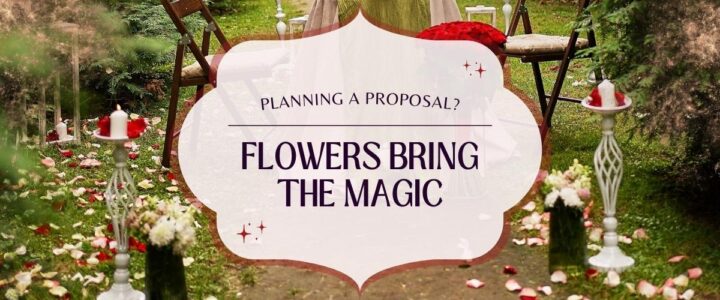 Going Above and Beyond with Marriage Proposals Flowers bring the magic
